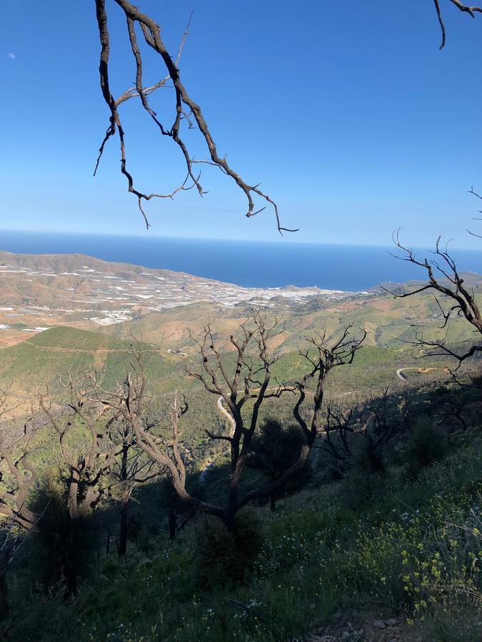 Cortijo Sancardo Guest House Lujar ภายนอก รูปภาพ